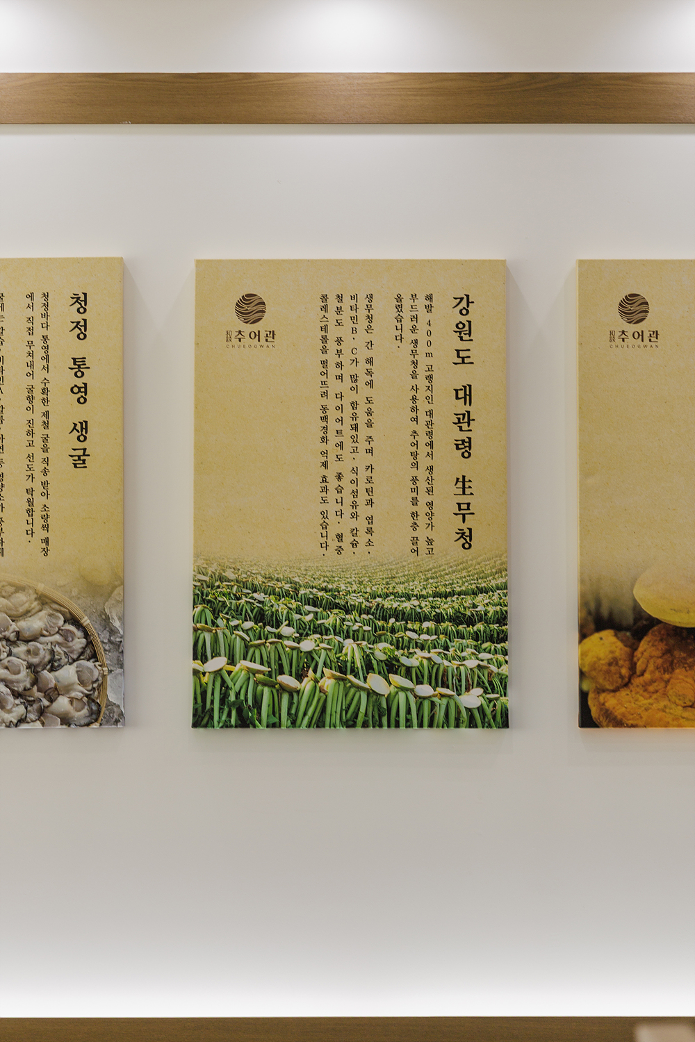 /user/i/idamdesign/editor/2512/817d166e2b8ef496e340f59a88afc96e_1766122454_2902.jpg 이미지크게보기